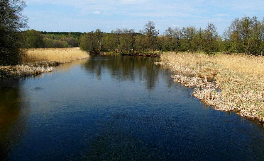Rzeka Brda