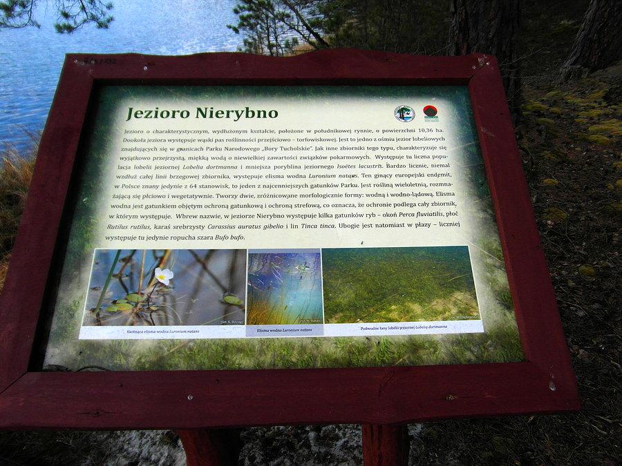 Jezioro Nierybno