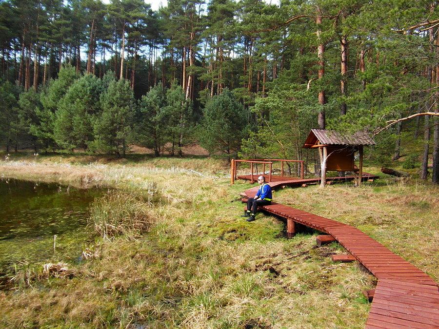 Pętla Lipnickiego - Park Narodowy Bory Tucholskie