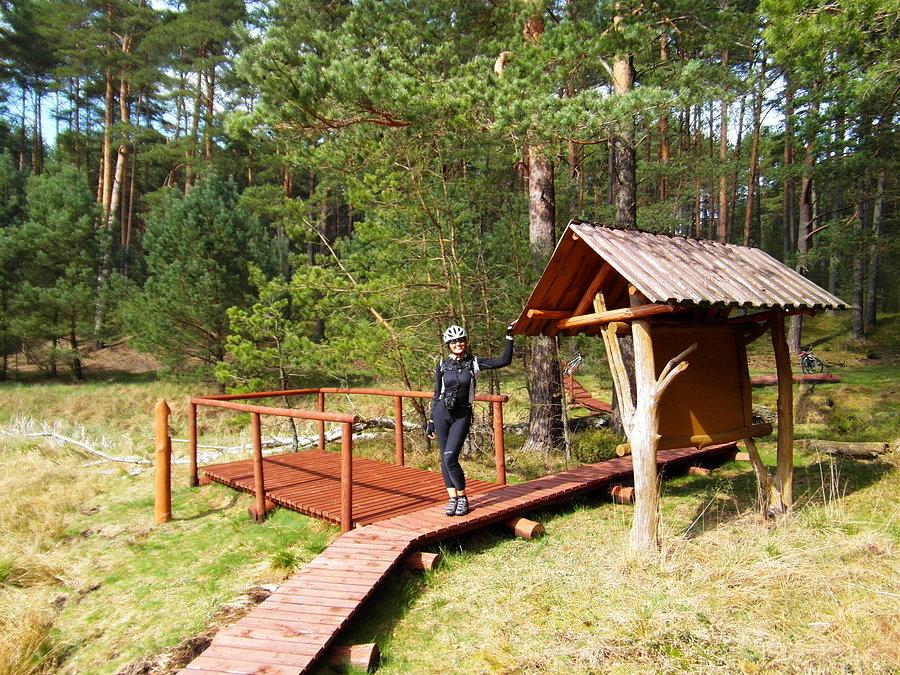 Pętla Lipnickiego - Park Narodowy Bory Tucholskie
