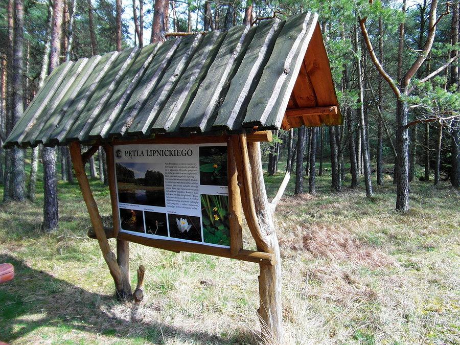 Pętla Lipnickiego - Park Narodowy Bory Tucholskie