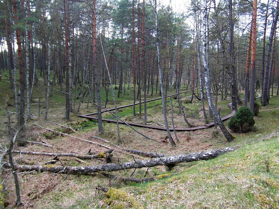 Pętla Lipnickiego - Park Narodowy Bory Tucholskie