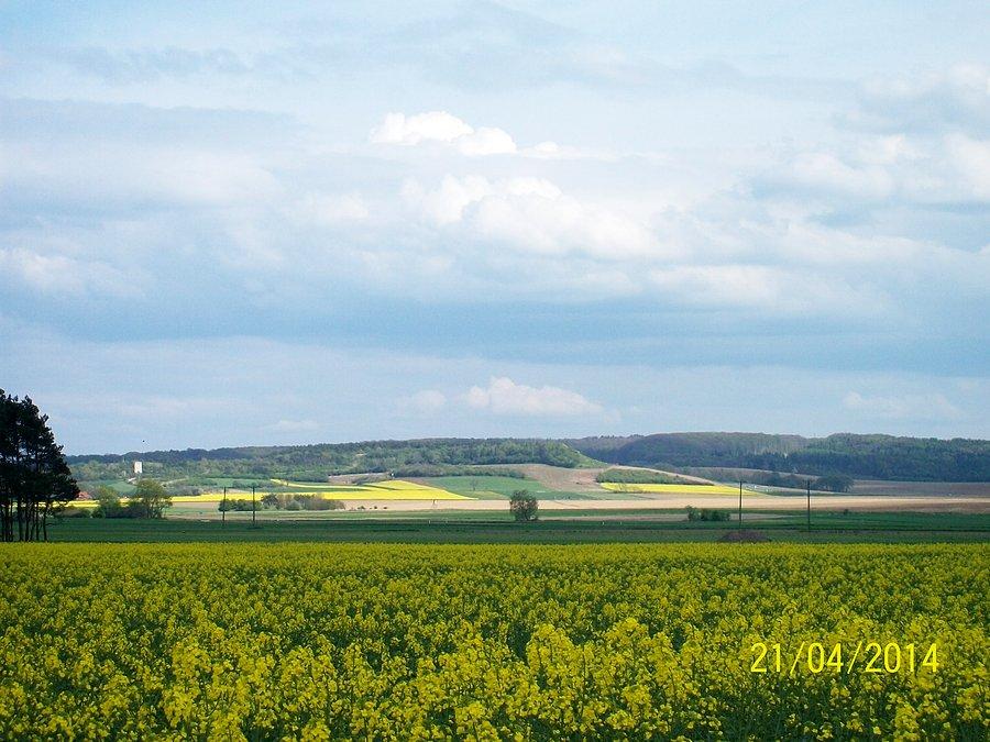 Widok na Annaberg, w lewym dolnym rogu widać piec wapienniczy z Ligoty Dolnej