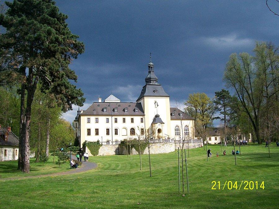 Zamek w Kamieniu Śląskim
