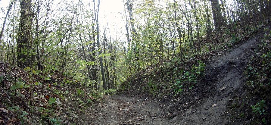 Trasy rowerowe moje okolice 19