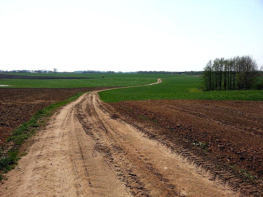 Polna droga między miejscowościami Stożne i Judziki
