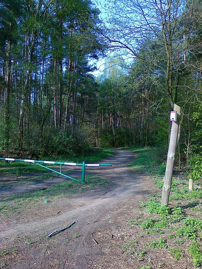 Tędy też nie, chociaż mogłam dojechać do Mariewa i tą drogą