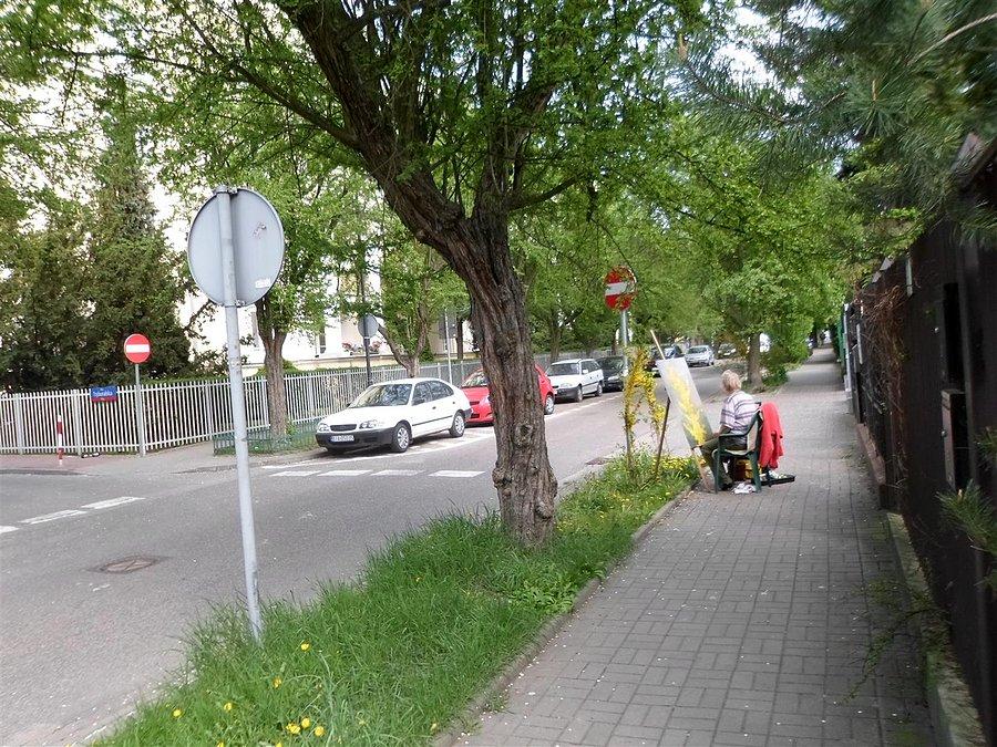 Kolonia Staszica, kolonią malarzy?