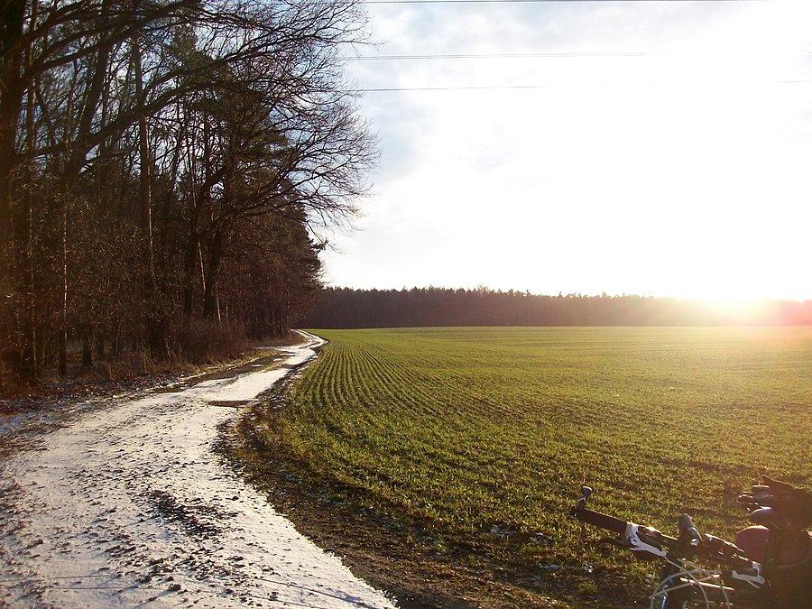 Pogoda dopisała