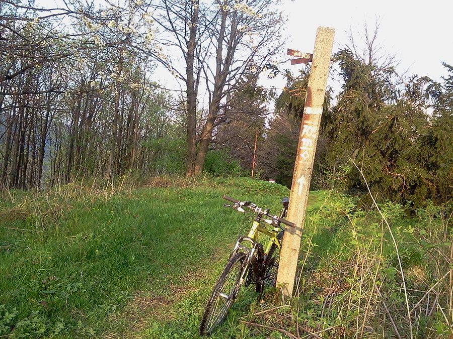 Ostryt - przedwczoraj też tu byłem