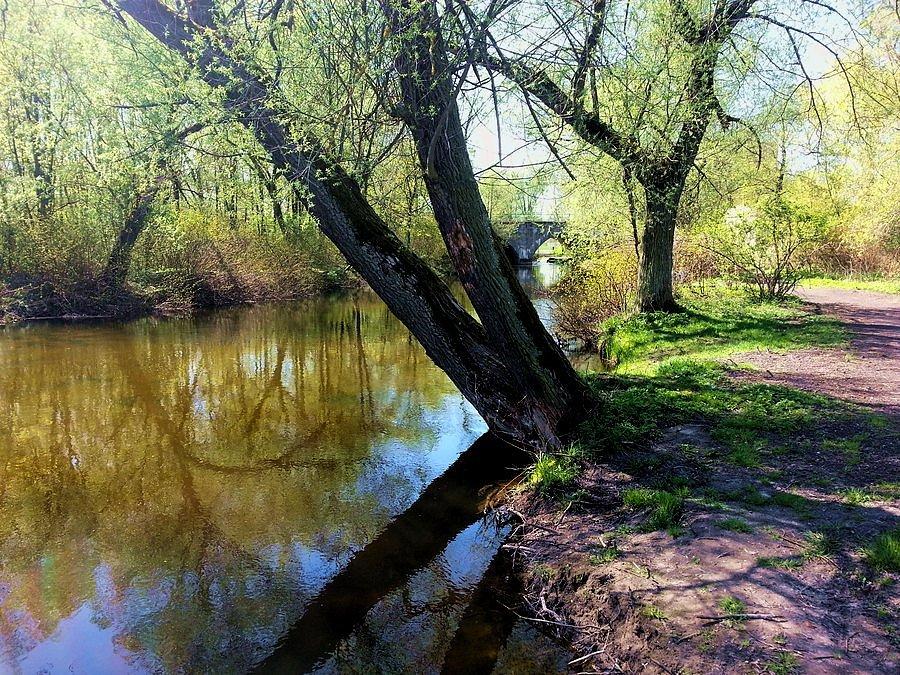 Zakole rzeki Ełk w okolicach ul. Sportowej w Ełku