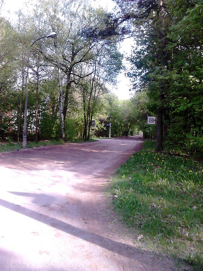 Ulica Kleeberga