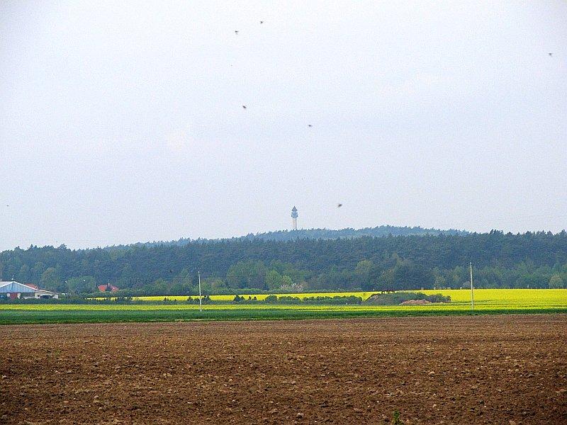 Dziewicza Góra w oddali