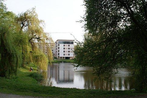 Nad stawem