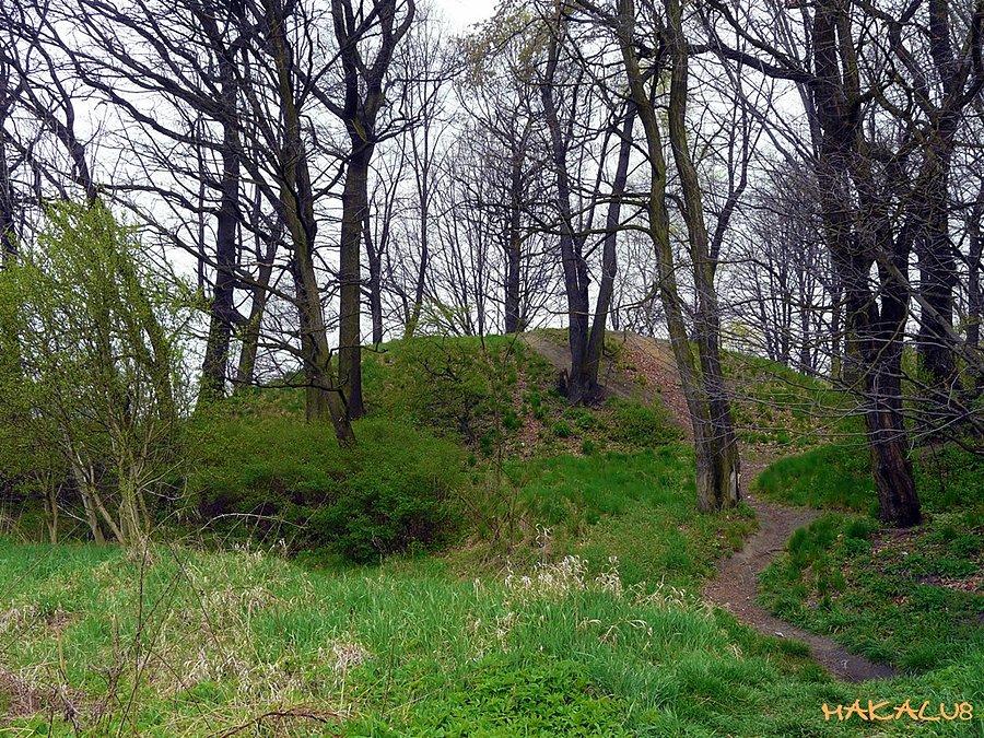 Gródek w Mikulczycach