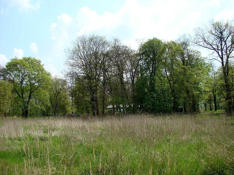 Park w Dobrej - teren prywatny