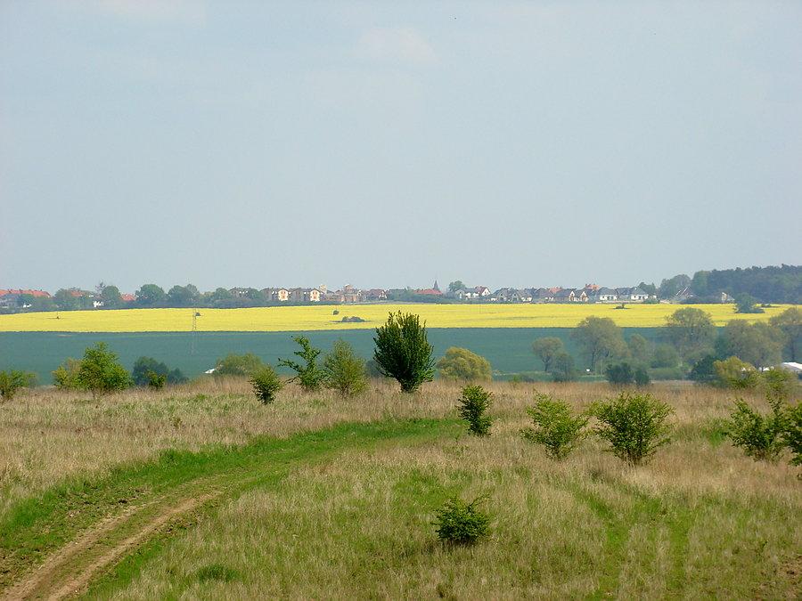 Piękne widoki