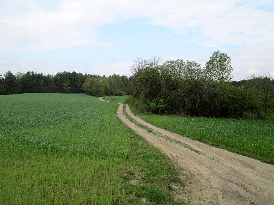 Ulubiona nawierzchnia
