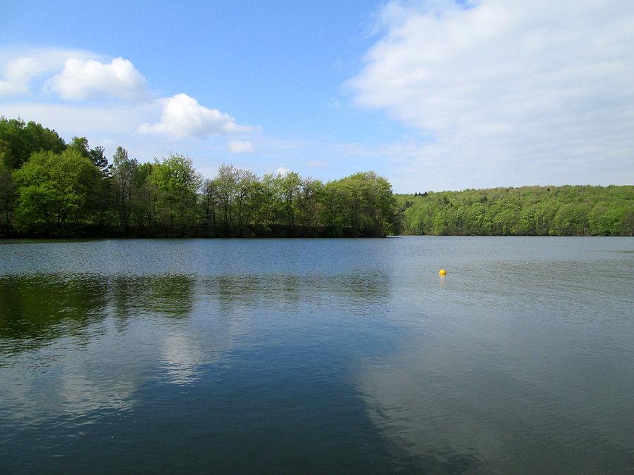Widok podczas przerwy