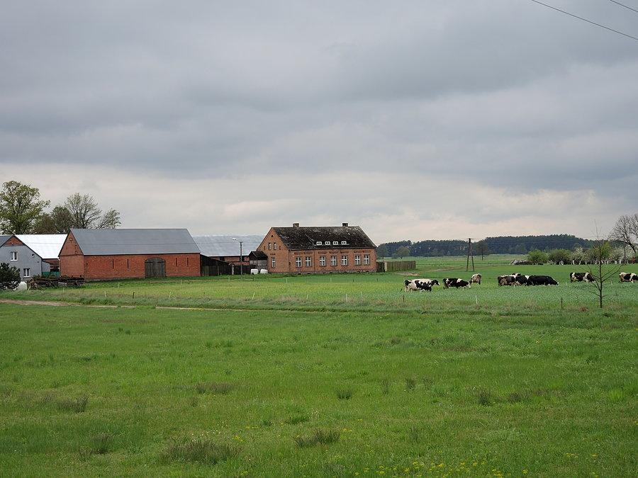 Zabudowania w Folsztynie - w drodze do Wielenia