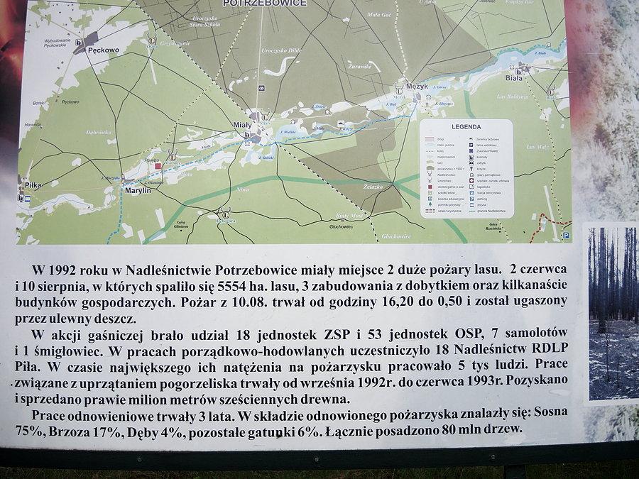 Szczegóły dot. pożaru Puszczy Noteckiej w roku 1992