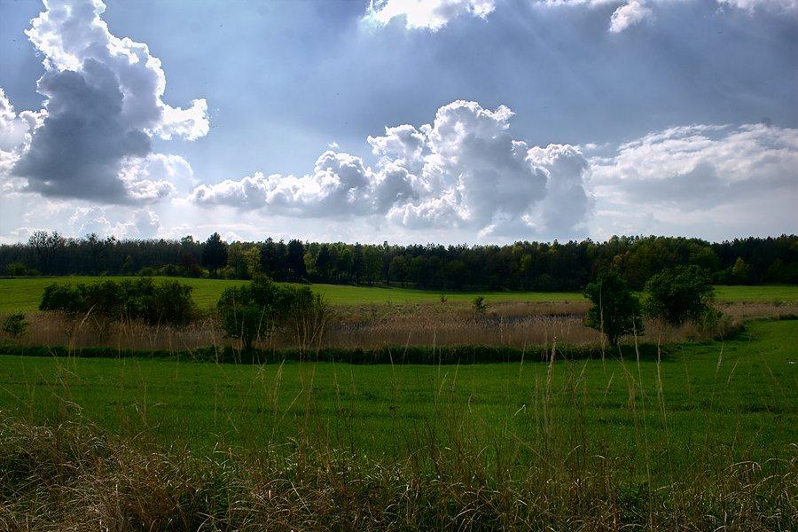 Widoki przydrożne