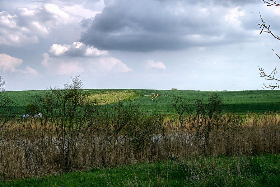 Widoki przydrożne