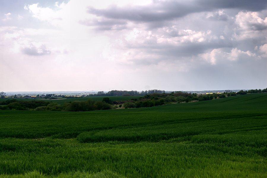W oczekiwaniu na Tunię podziwiamy widoki
