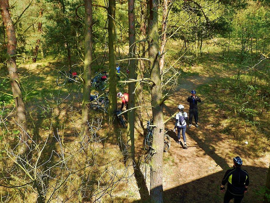 Na trasie wycieczki. Wyspa Sobieszewska - Rezerwat Ptasi Raj