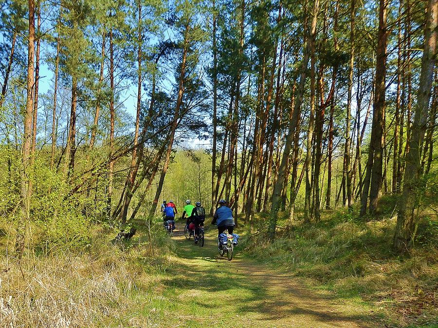 Na trasie wycieczki. Wyspa Sobieszewska - Rezerwat Ptasi Raj