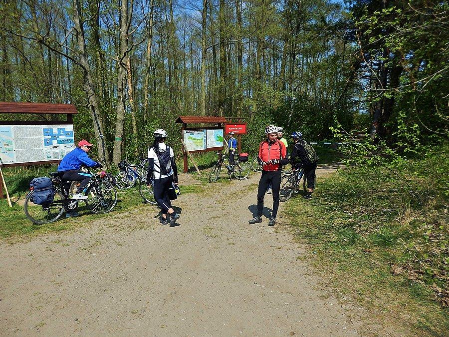 Na trasie wycieczki. Wyspa Sobieszewska - Rezerwat Ptasi Raj