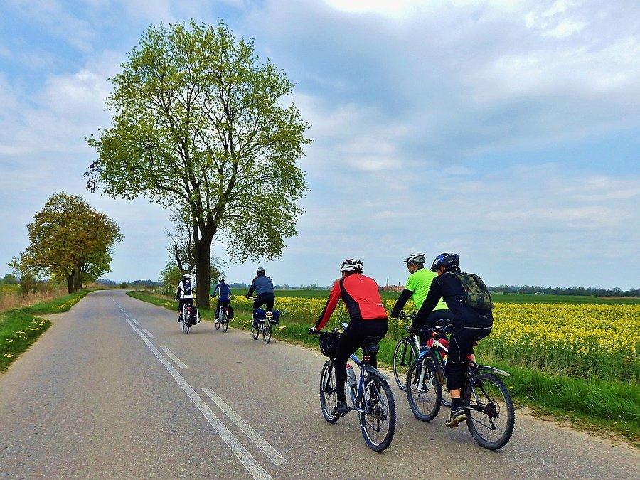 Na trasie wycieczki. Kierunek - Wyspa Sobieszewska