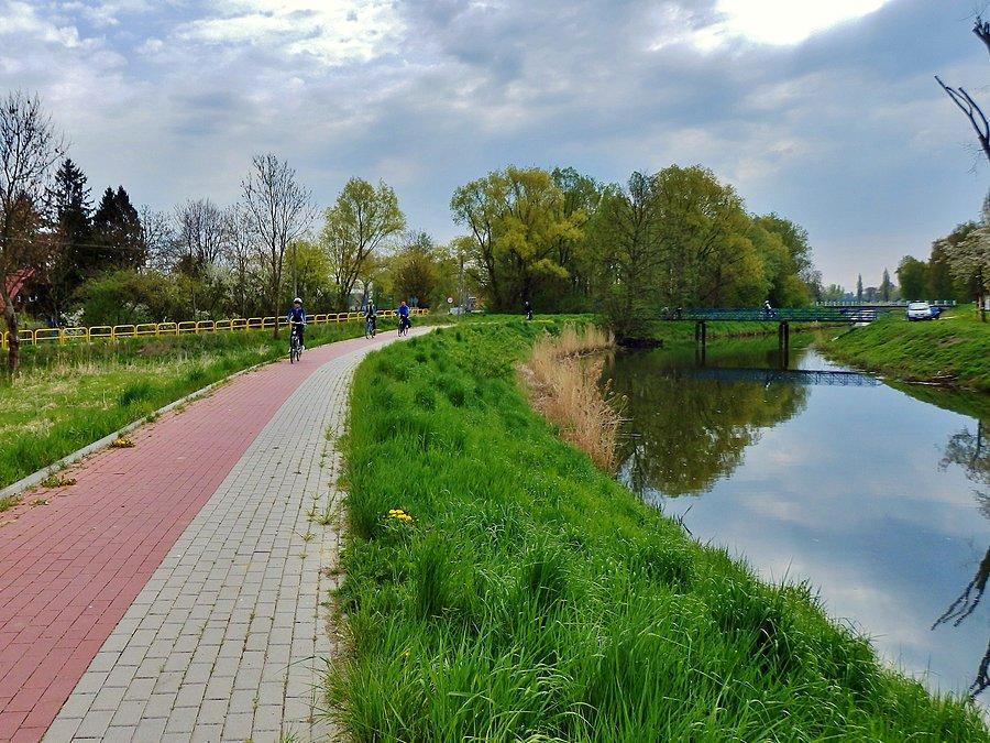 Na trasie wycieczki. Kierunek - Wyspa Sobieszewska