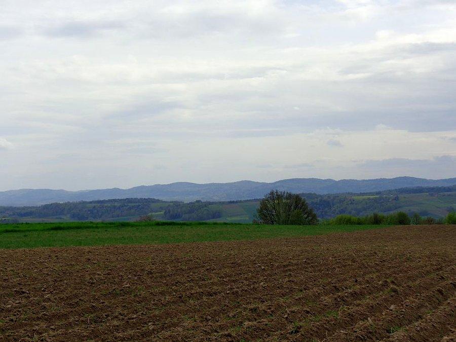 Czarnorzecko-Strzyżowski Park Krajobrazowy