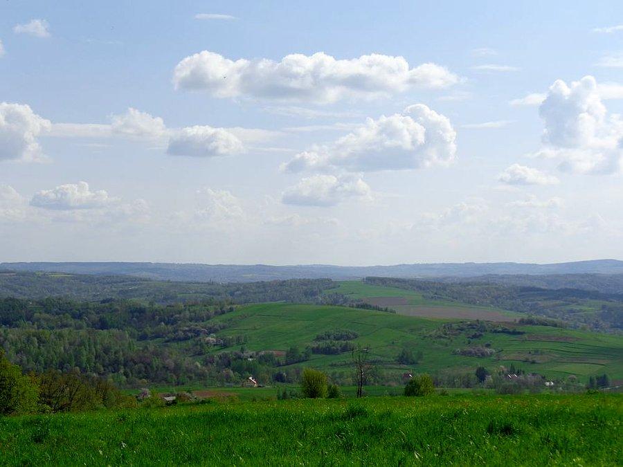 Widoczek z Borówek