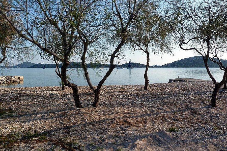 Tymczasem w Vodice