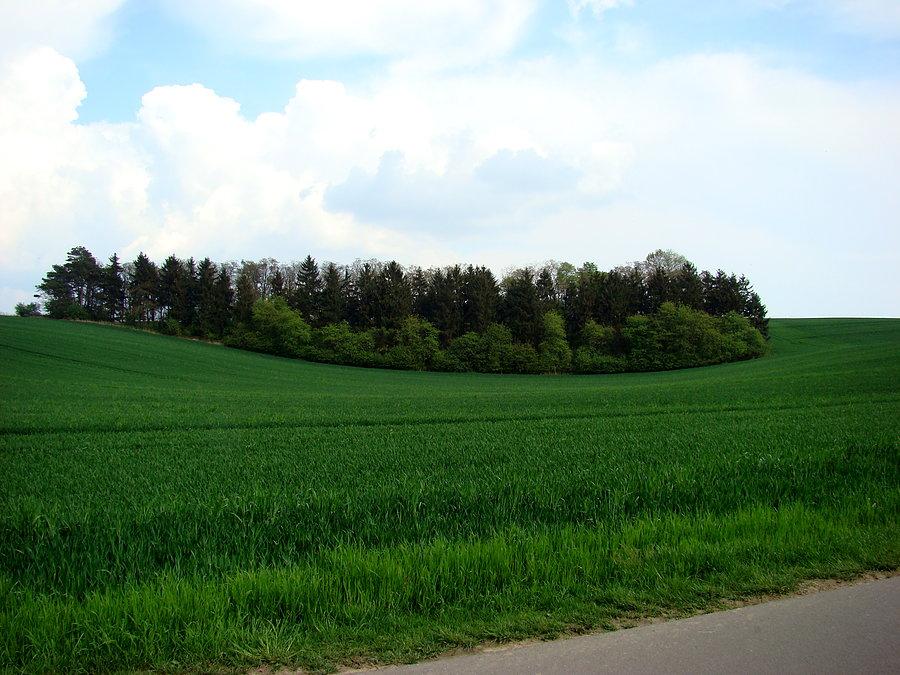Oglądamy ulubione widoczki Tuni