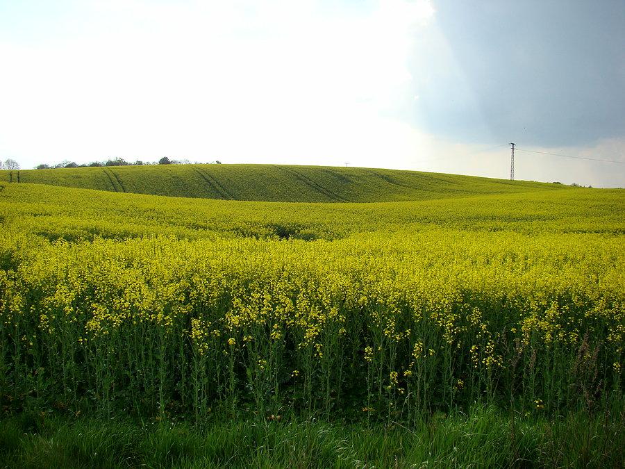 Oglądamy ulubione widoczki Tuni 2