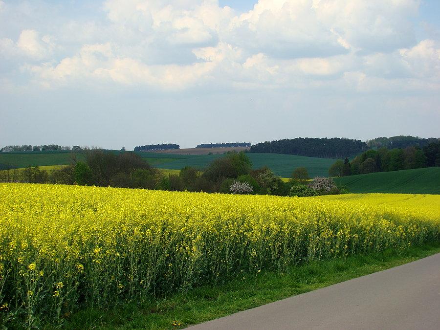 Oglądamy ulubione widoczki Tuni 5