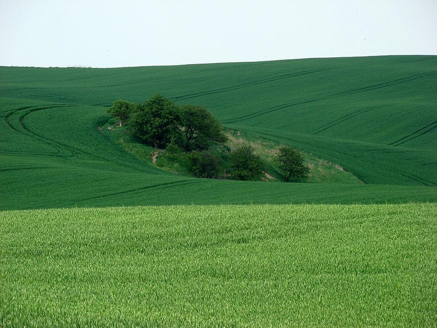 Oglądamy ulubione widoczki Tuni 7