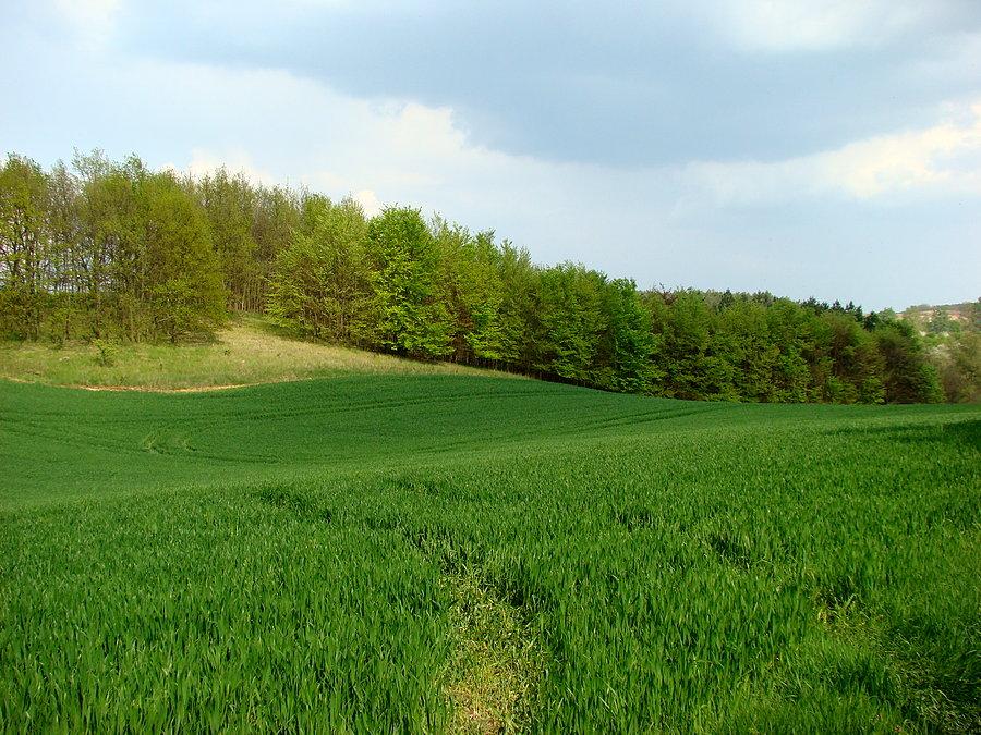Oglądamy ulubione widoczki Tuni 8