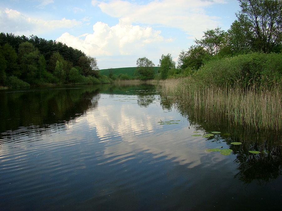 Widok na jezioro