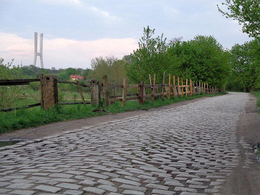 Wrocławskie bruki