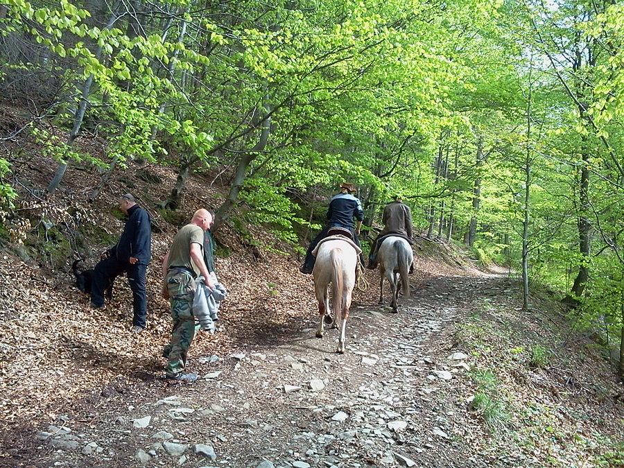 Podjazd do schroniska na Soszowie