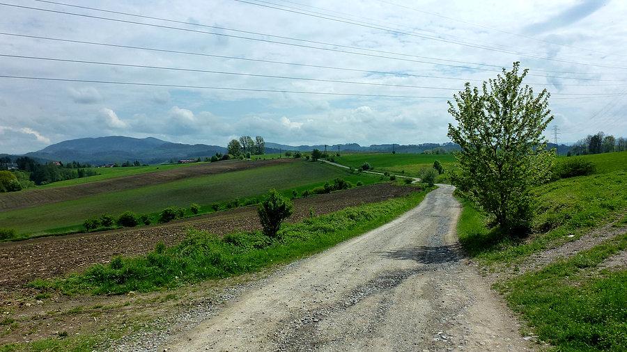 Przez łąki i pola