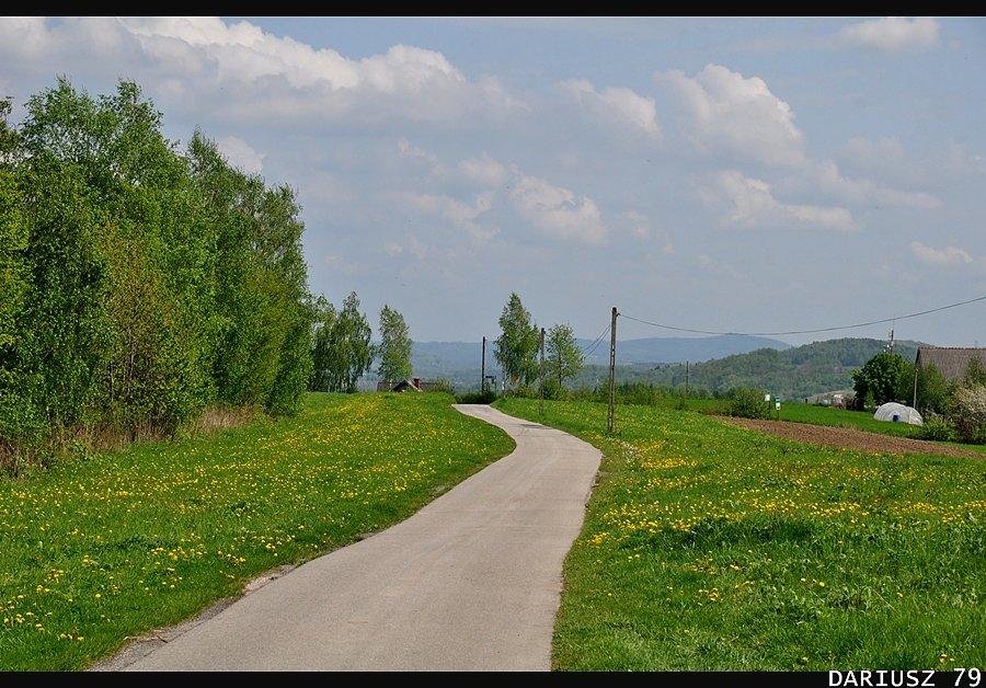 Pogórze Wiśnickie
