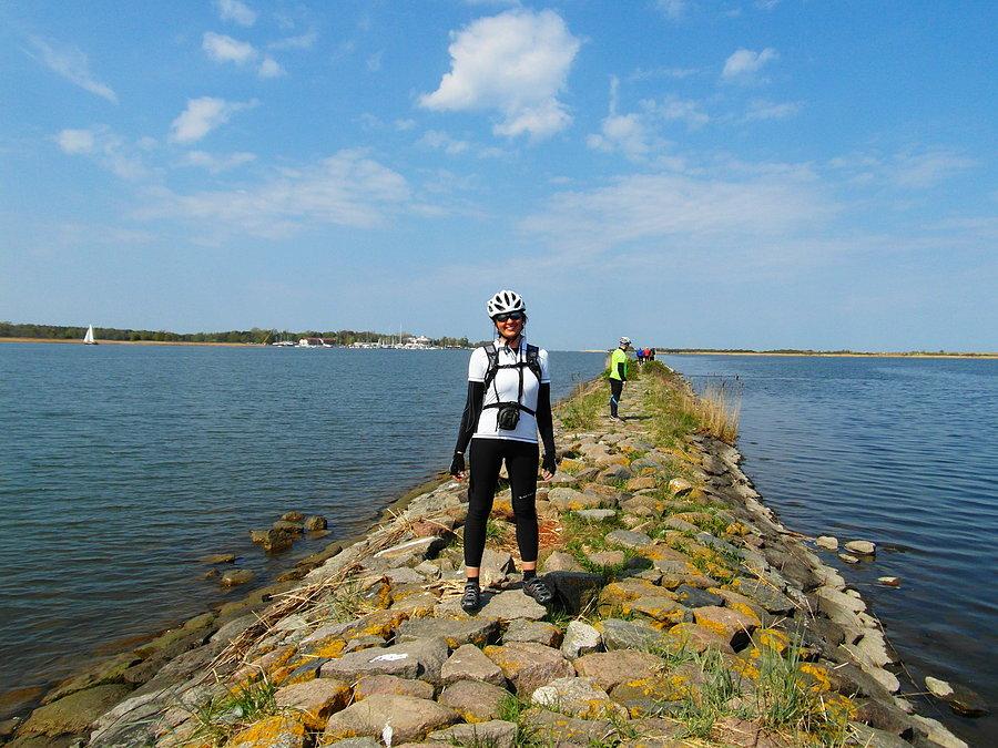 Kamienna Grobla na Wyspie Sobieszewskiej