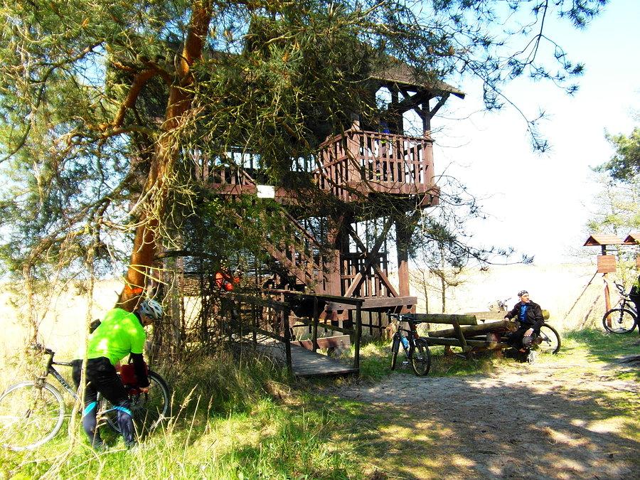 Rezerwat „Ptasi Raj”- Wyspa Sobieszewska