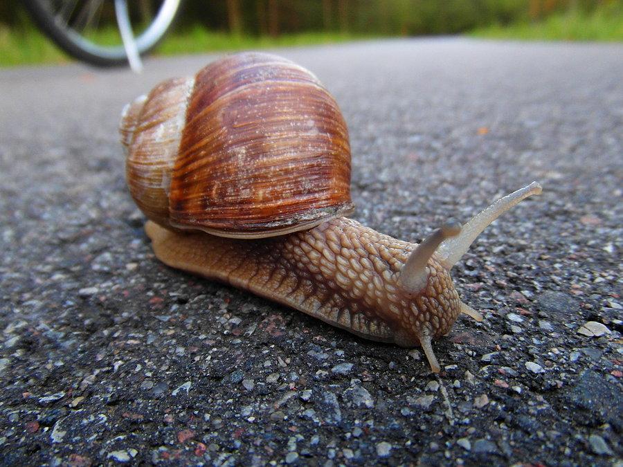 Spotkany na drodze
