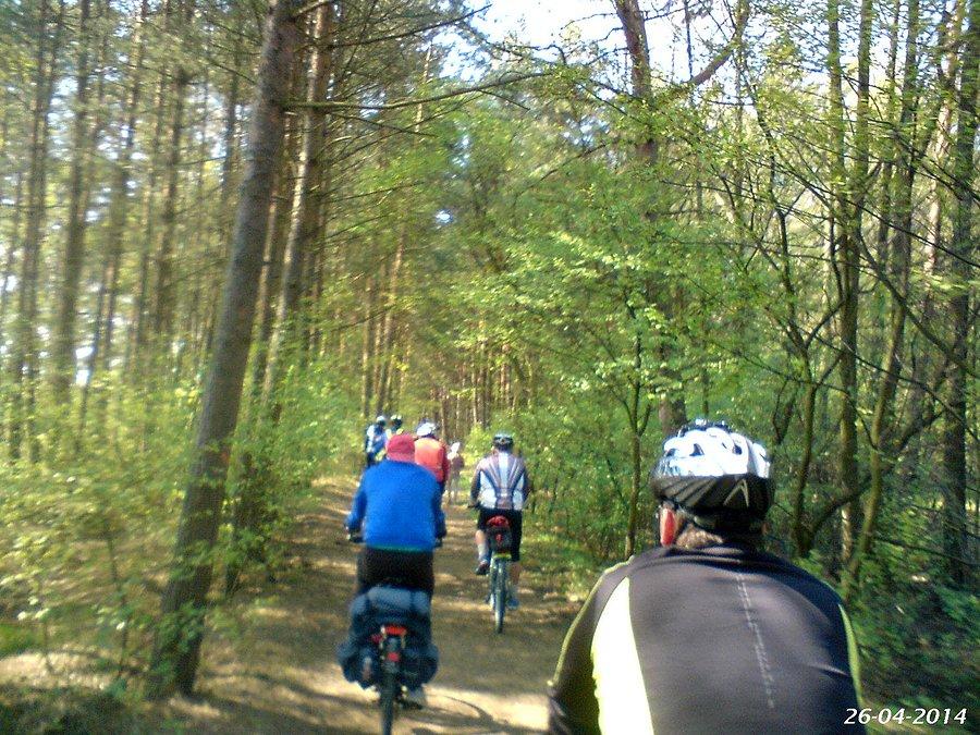26-04-2014. Rowerzyści Tczewscy na drodze leśnej do pierwszej wieży widokowej w Rezerwacie Ptasi Raj, na Wyspie Sobieszewskiej